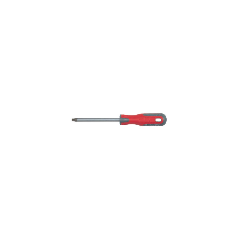 Wkrętak TORX T10x100mm}