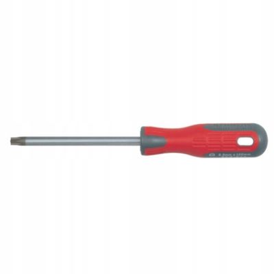 Wkrętak TORX T10x100mm