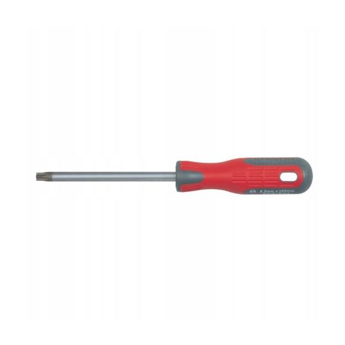 Wkrętak TORX T10x100mm
